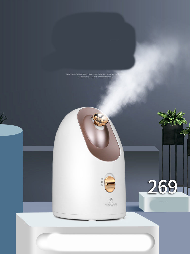 Facial Steamer Hot and Cold