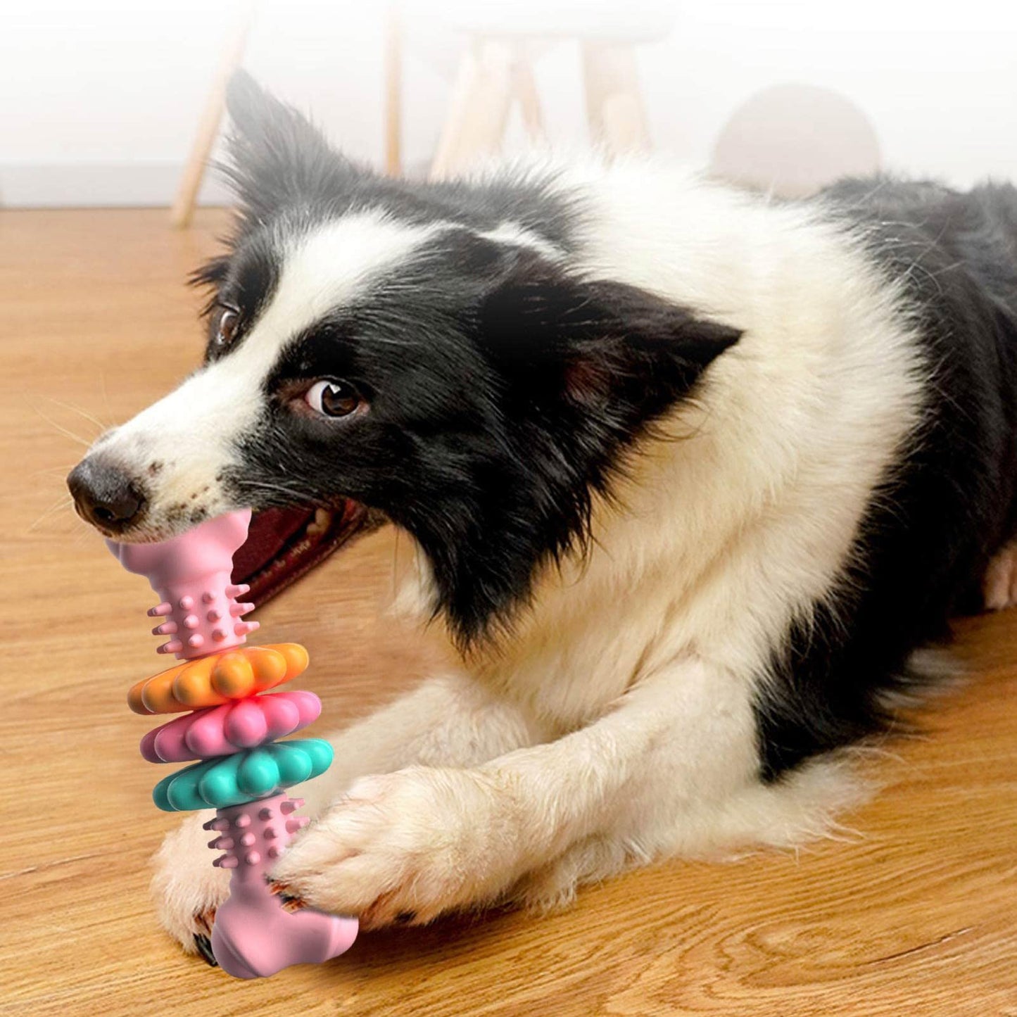 Pet Dog Bone Teeth Cleaning Chew Toy Dogs Toys Indestructible TPR Bone Chewing Bite Resistant Teething Toys Pet Products