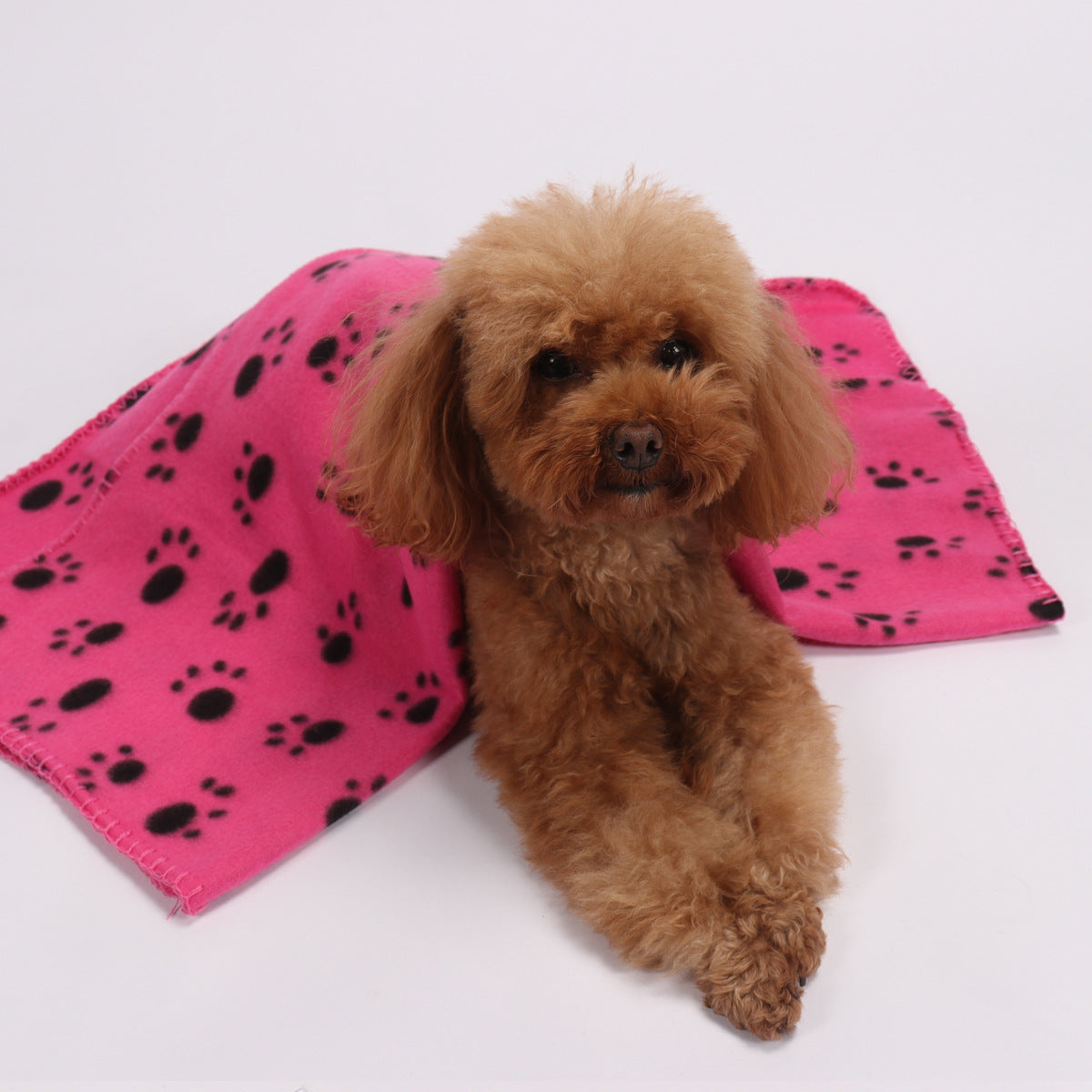 Pet Double-Sided Warm Fleece Pet Blanket Cat Dog Paw Blanket Mattress Pet Pad